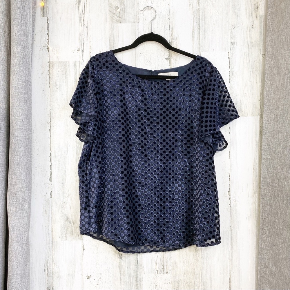 Loft Velvet Dot Sheer Top EUC
